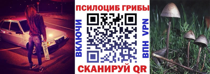 Псилоцибиновые грибы Magic Shrooms  купить наркотики цена  Бирск 